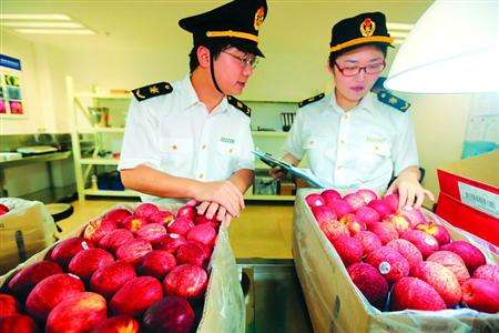 青島港進(jìn)口新鮮水果代理報關(guān)行