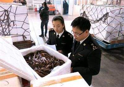 青島海鮮進(jìn)口報關(guān)老司機教你清關(guān)不翻車