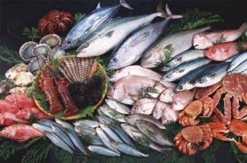 書接上回，進(jìn)口水產(chǎn)品和冷凍肉類所需重點(diǎn)